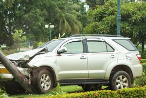 3 people and 2 dogs dead, 1 person hurt after car vs. tree crash in Chula Vista Image